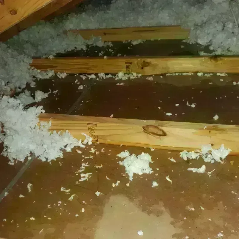 Attic Water Damage in Lake Lure, NC